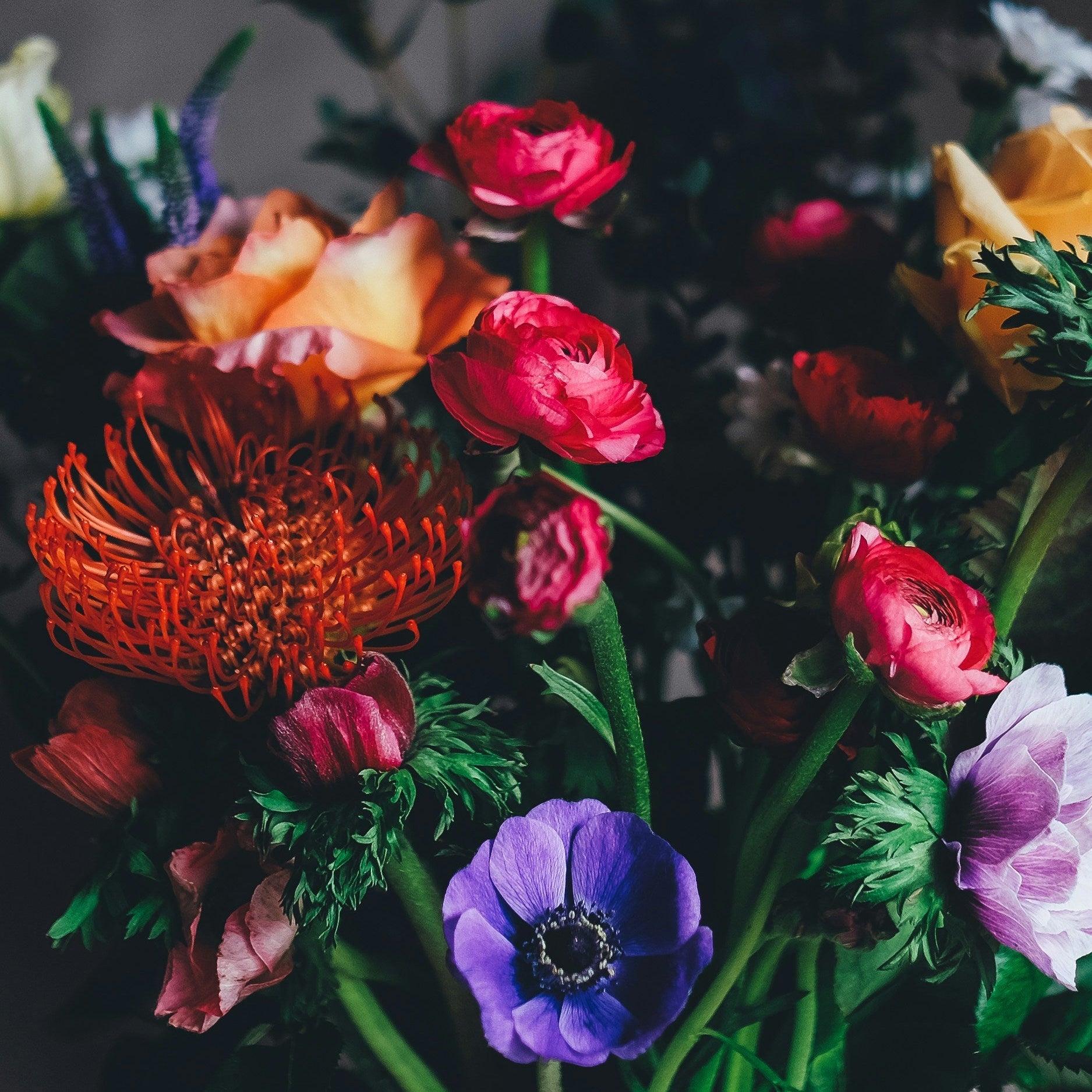 FLORAL – Etat Libre d'Orange