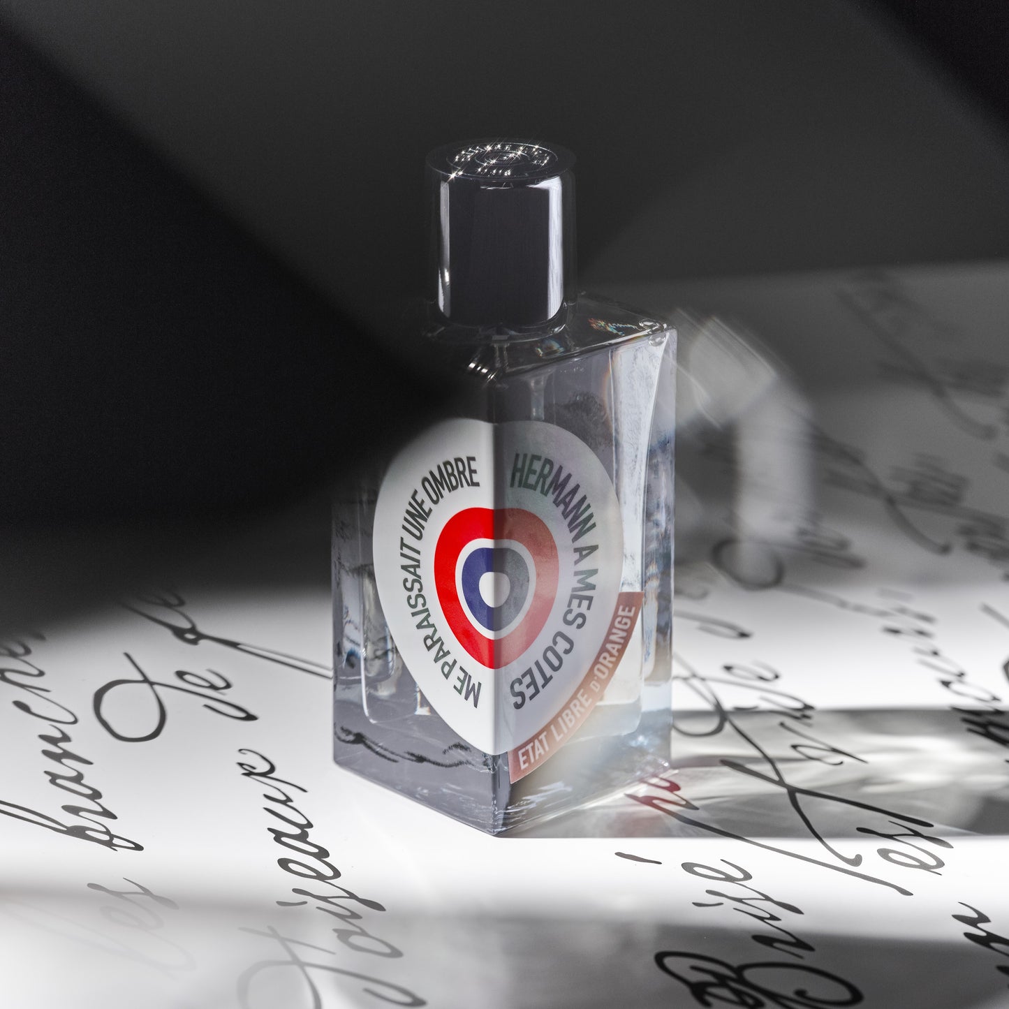 HERMANN A MES COTES ME PARAISSAIT UNE OMBRE