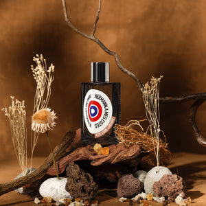 HERMANN A MES COTES ME PARAISSAIT UNE OMBRE