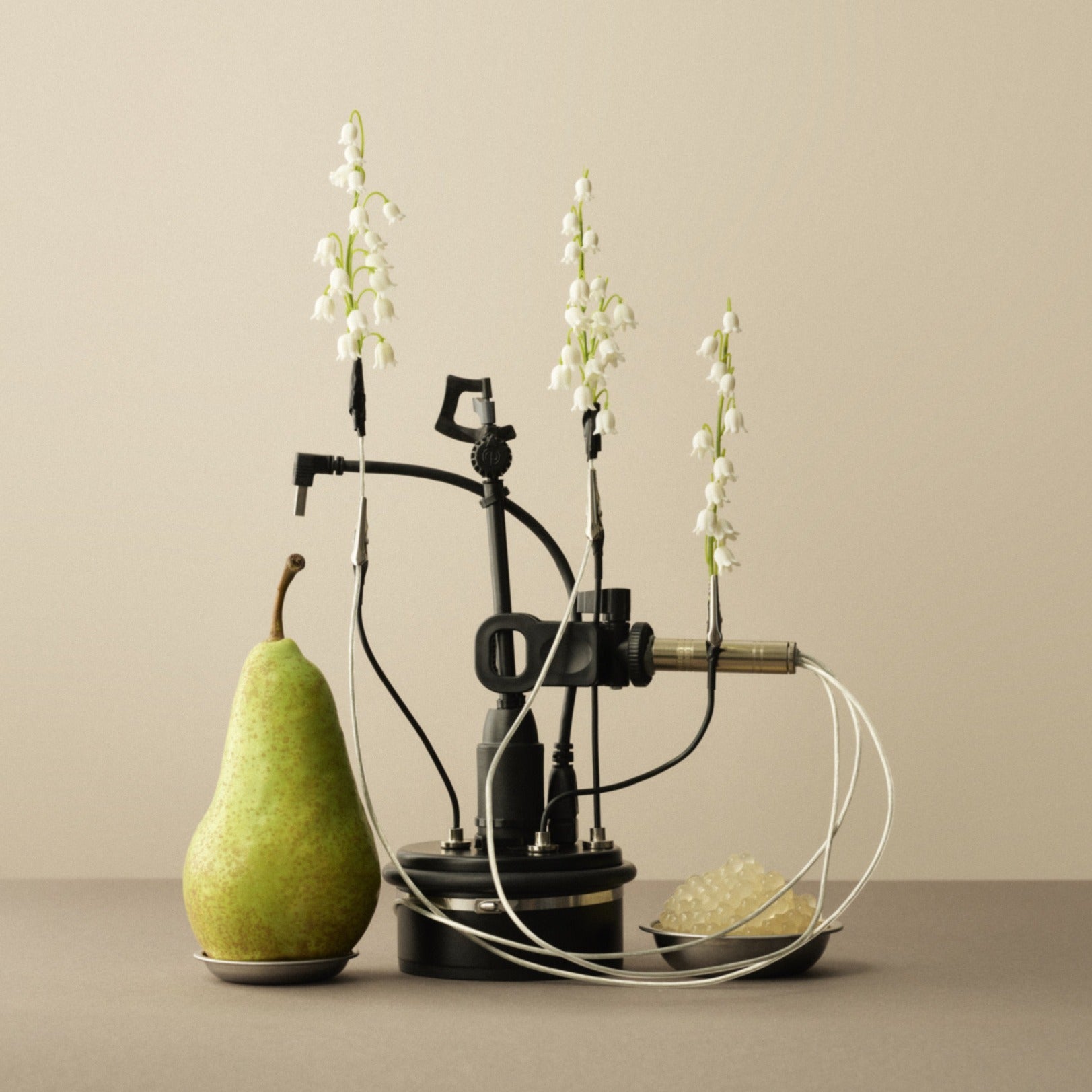 The Ghost in the Shell - Eau de Parfum | Etat Libre d'Orange