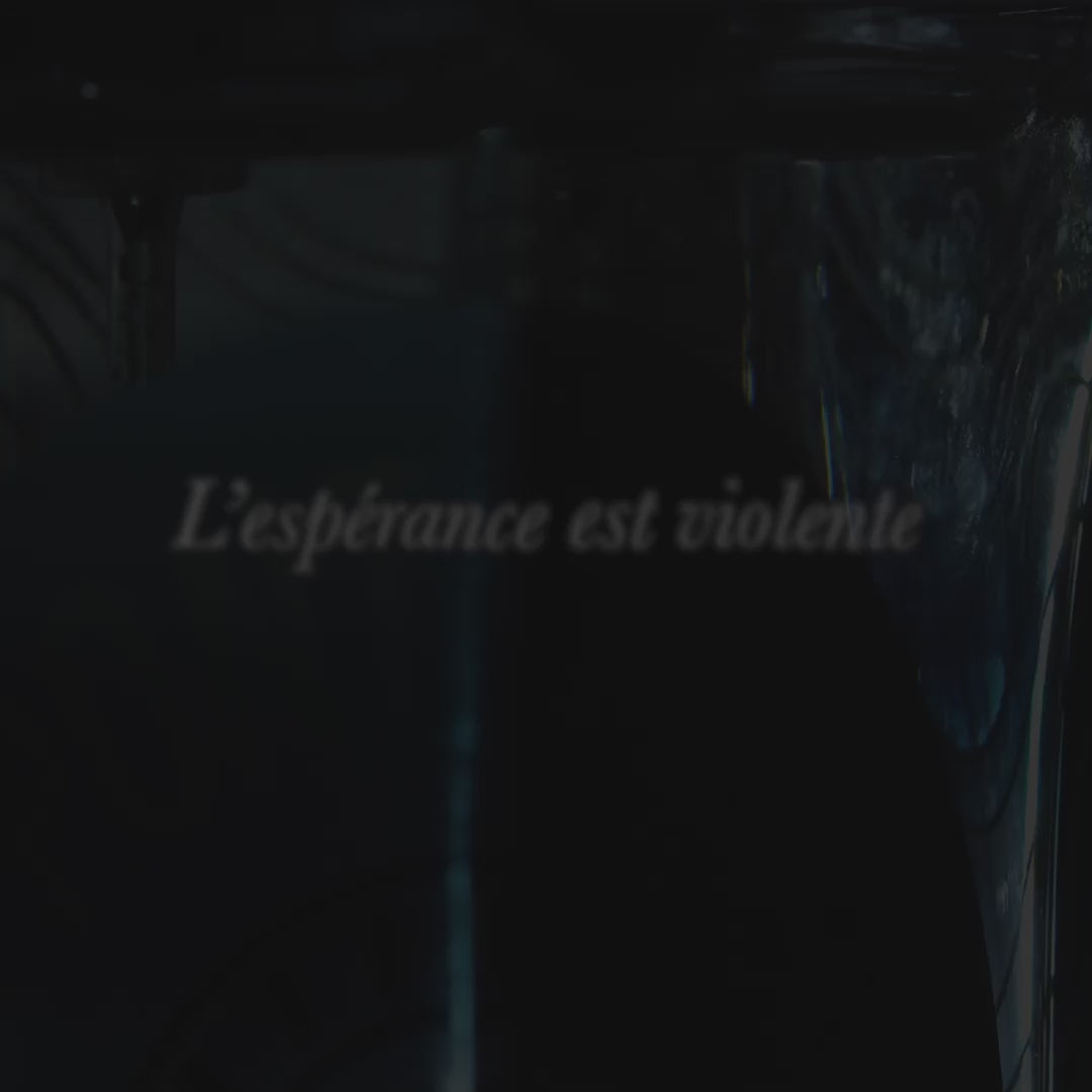 SOUS LE PONT MIRABEAU – Etat Libre d'Orange